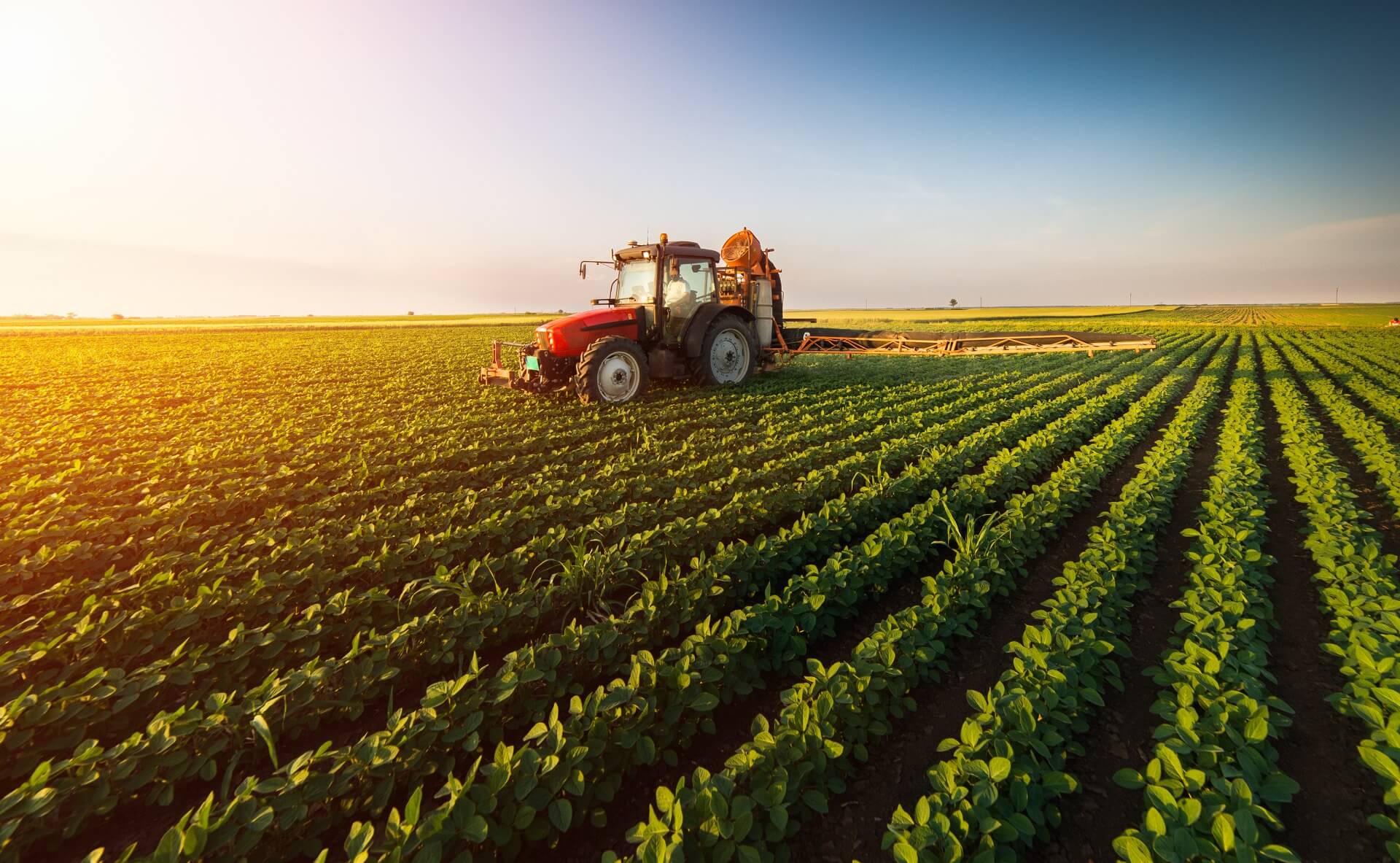 O que é agricultura? - Brasil Escola