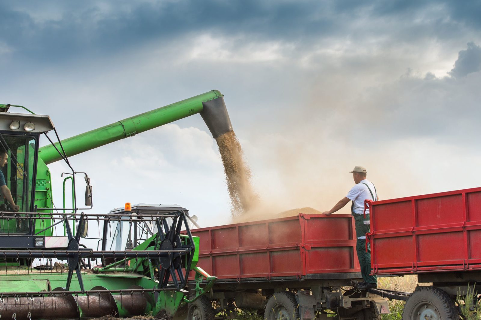Insumos agrícolas saiba aqui como planejar a compra Insumos agrícolas saiba aqui como planejar a compra