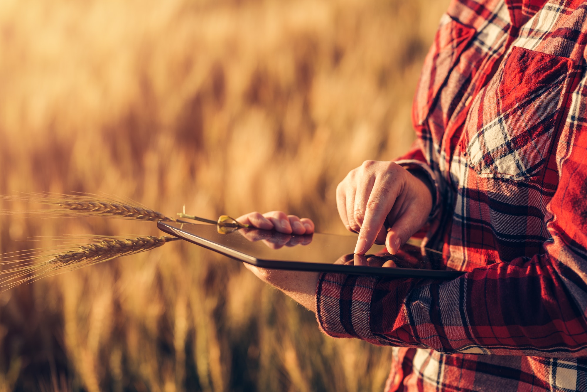 Smart farming, using modern technologies in agriculture