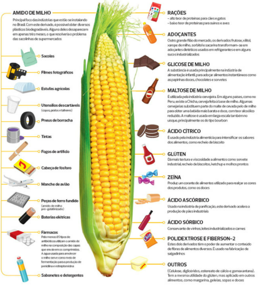 Tipos de milho - Variedades de produtos feitos a partir do grão