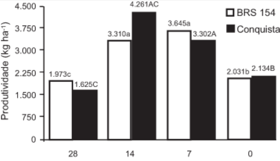 Comparação da produtividade de duas cultivares de soja, em relação a época de controle de Brachiaria decumbens 