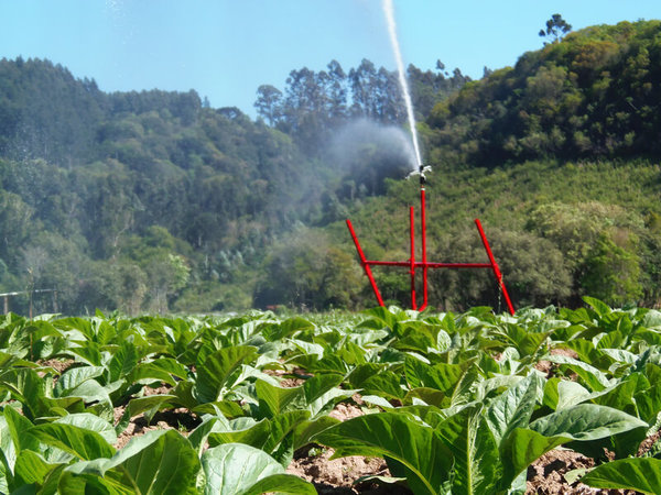 Irrigação por aspersão