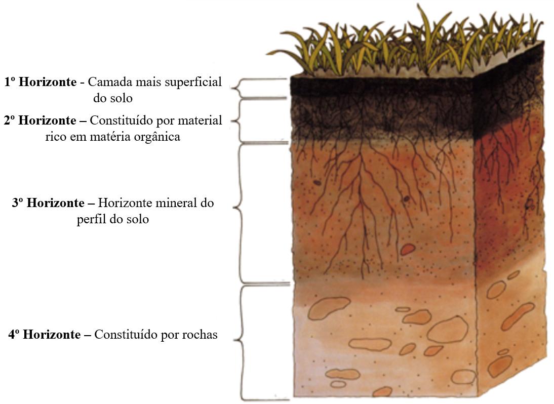 perfil do solo - horizontes que compõe as camadas do solo