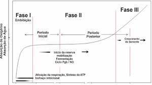 gráfico - germinação das sementes