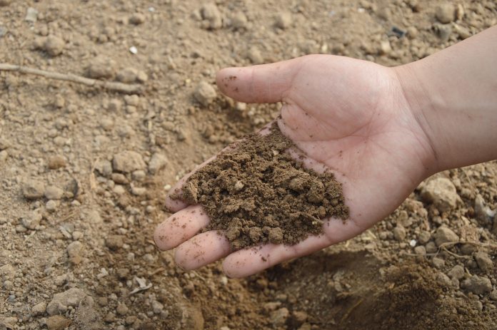 indicadores de fertilidade do solo