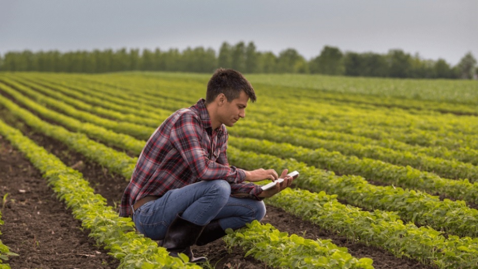 software de gestão agrícola