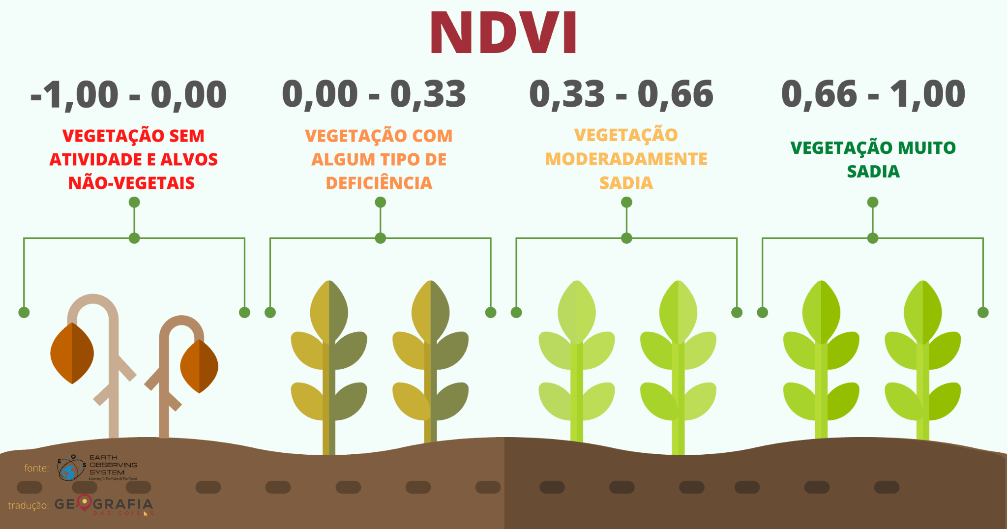 NDVI/