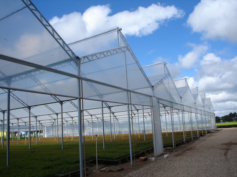 Tipo de estufa agrícola chamado Arco dente de serra 