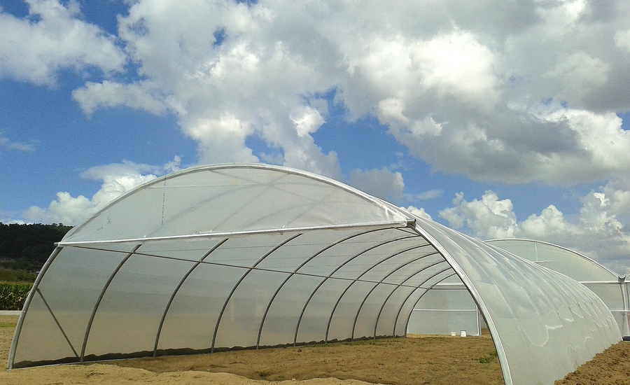 Modelo de estufa agrícola chamado Arco tubo