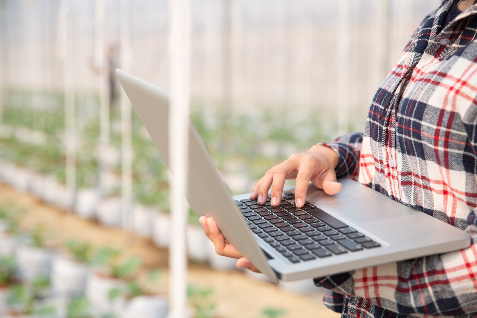 Myfarm Entenda como startups levam avanço para o agronegócio