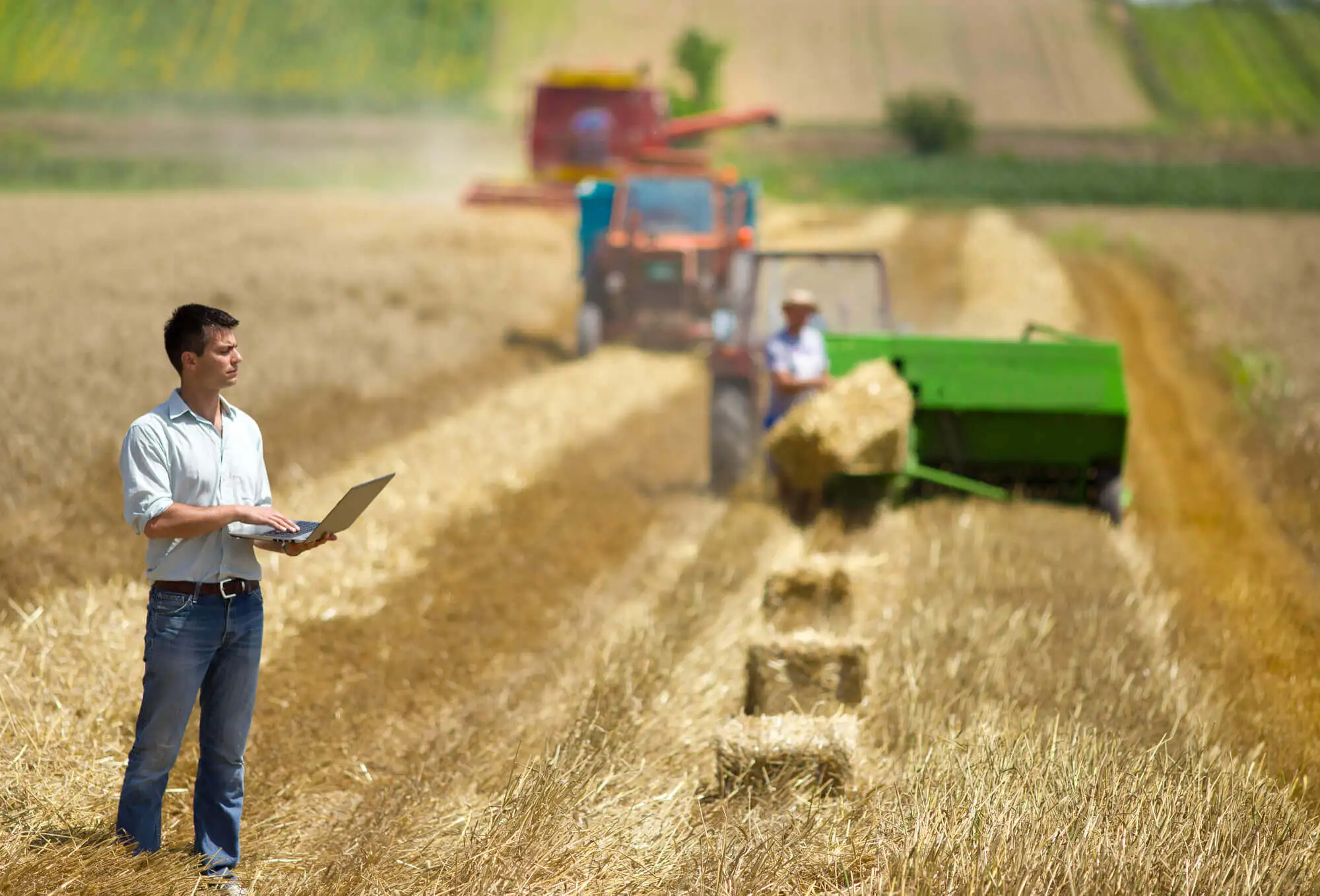 Myfarm Gestión agrícola: aprenda a hacer más rentable su propiedad rural