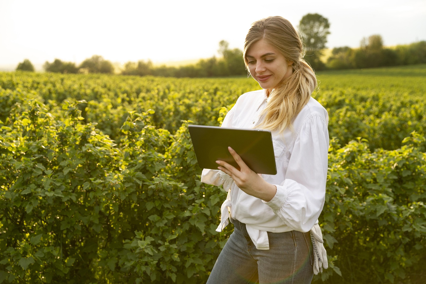 Myfarm Agronegócio e mercado internacional: como competir globalmente?