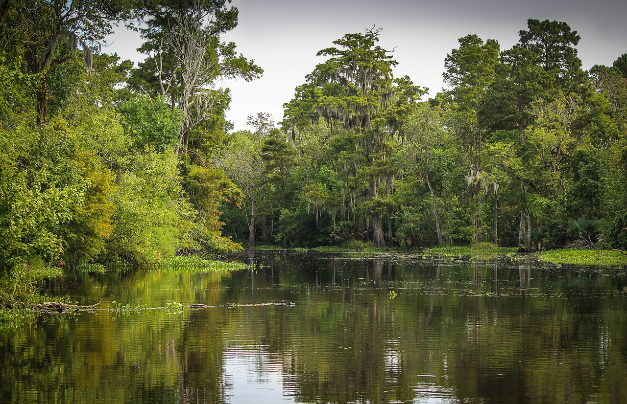 Bioma do Pantanal.