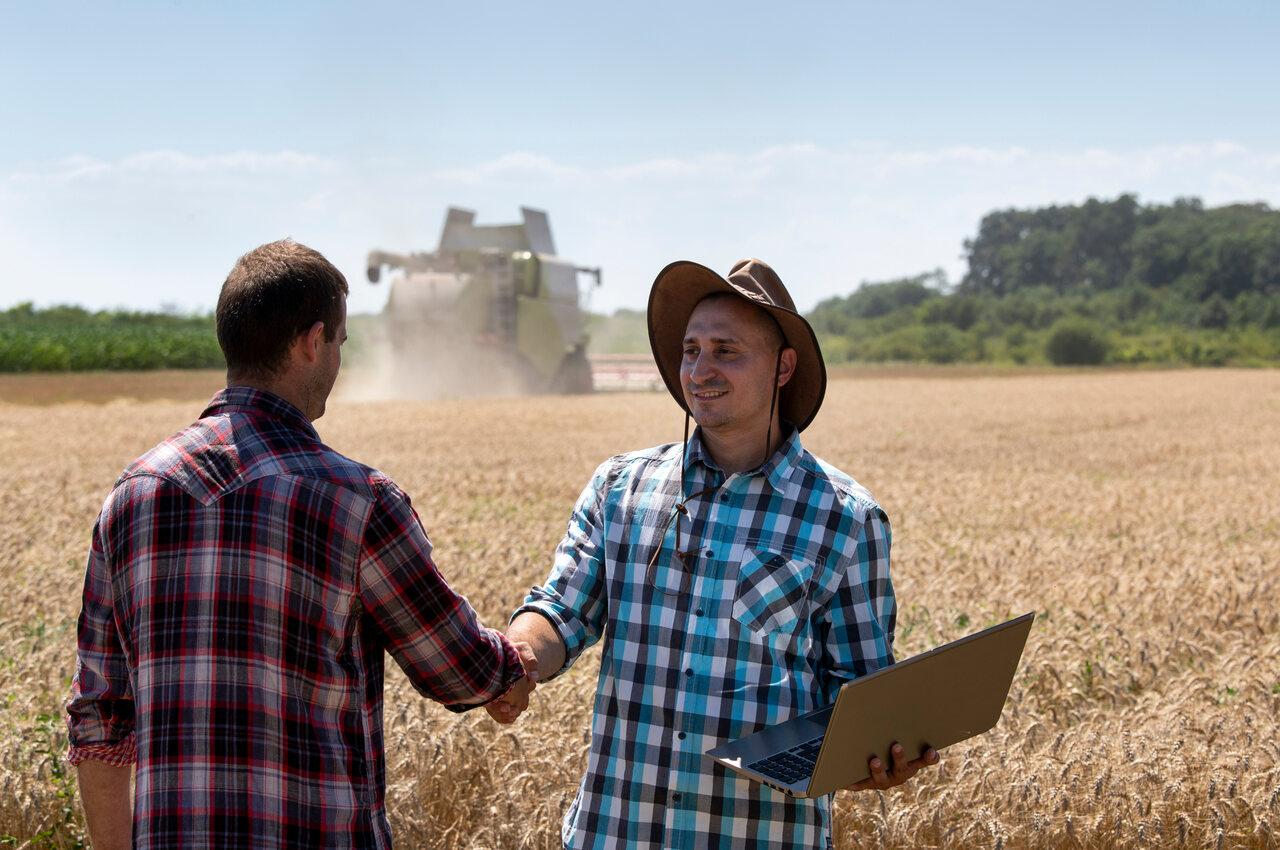 Myfarm Gestão da propriedade rural: como facilitar a rotina da fazenda