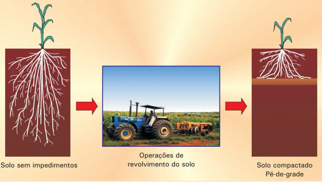 revolvimento da terra pode provocar a compactação do solo 